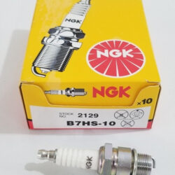 Bujia NGK