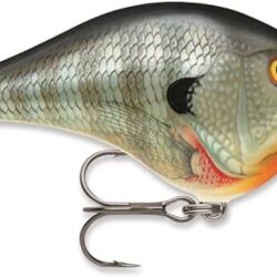 Curricsn RAPALA Dives To
