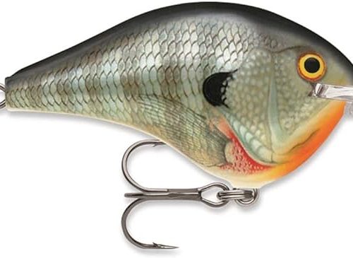 CURRICSN RAPALA DIVES TO