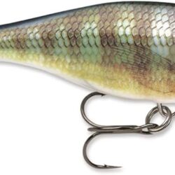 Currican RAPALA Shalow Shad