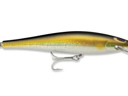 CURRICAN WILLIAMSON SPEED PRO